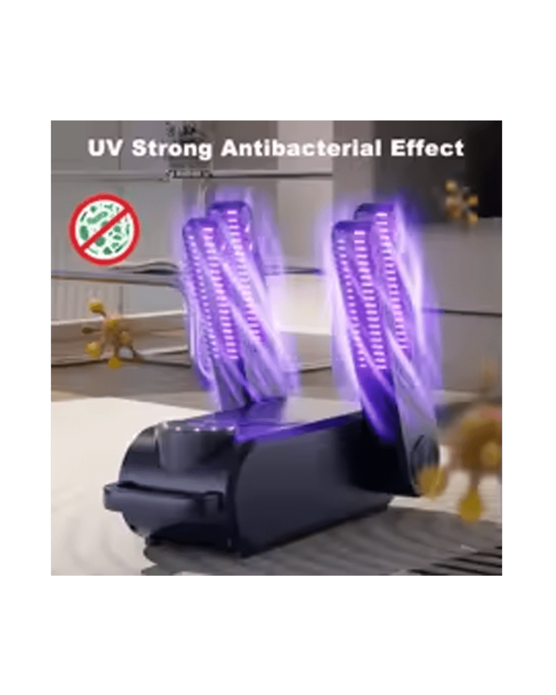 Secador de Calzado Raugee - 3