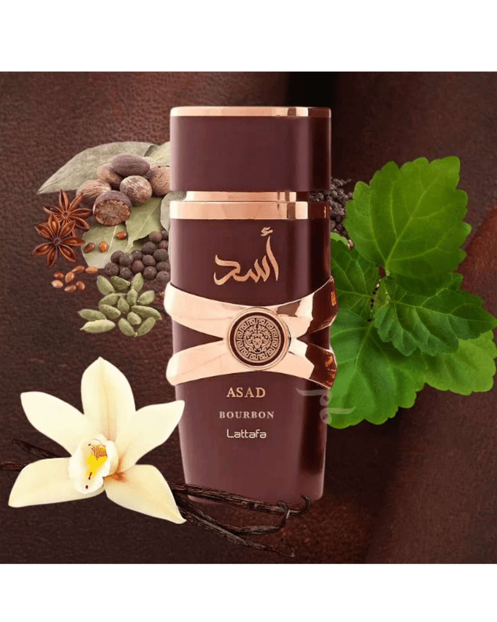 Asad Bourbon Eau De Parfum 100ml Spray - 4