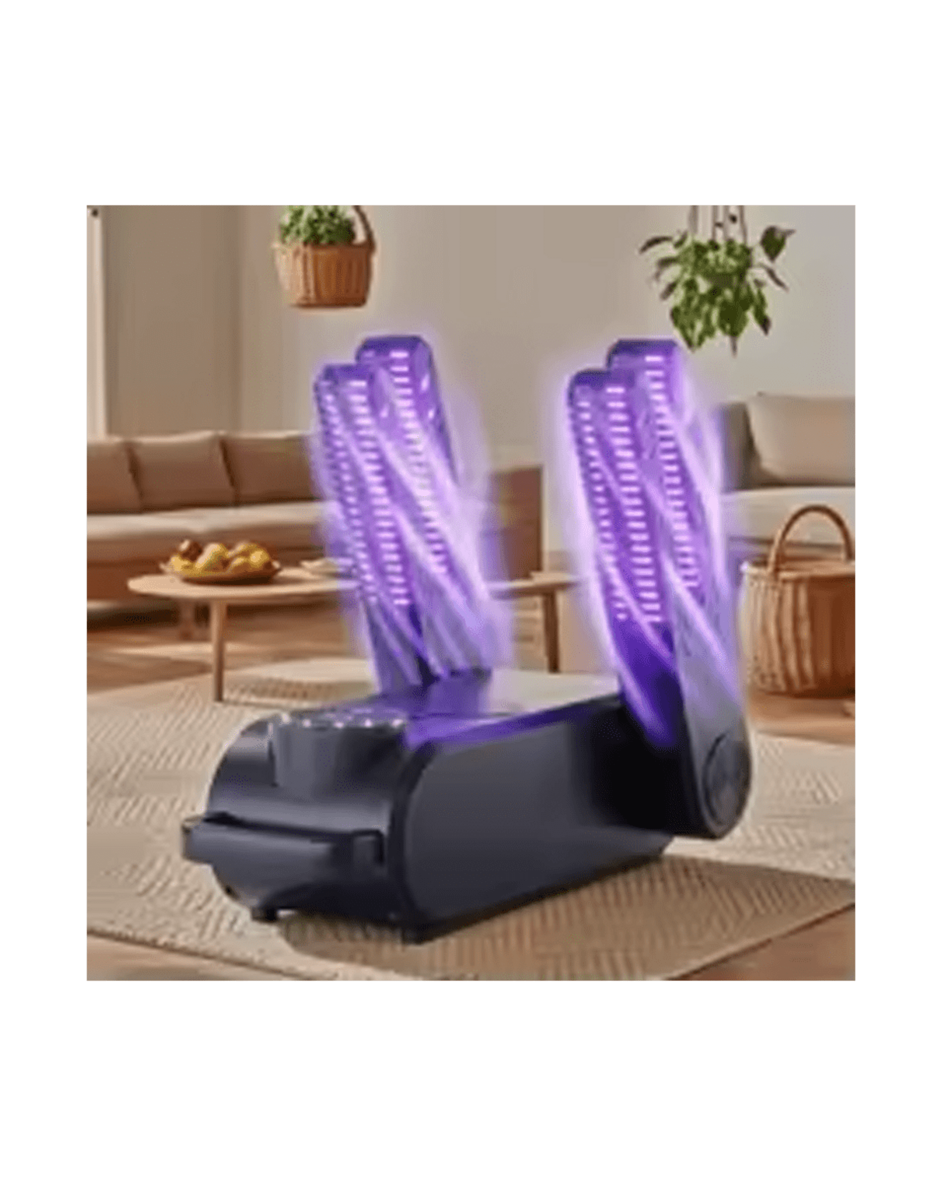 Secador de Calzado Raugee - 5