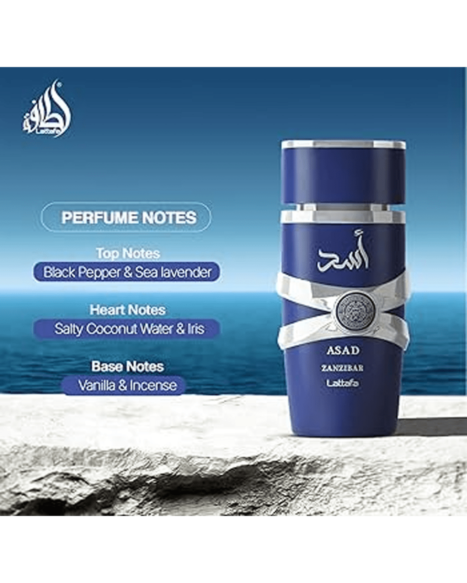 Asad Zanzibar Eau De Parfum Spray 100ml - 8